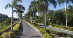 Venta Solar Playa Nueva Romana Lote 18