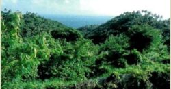 Venta Lotes Terreno Puerto Bahia – Samanà