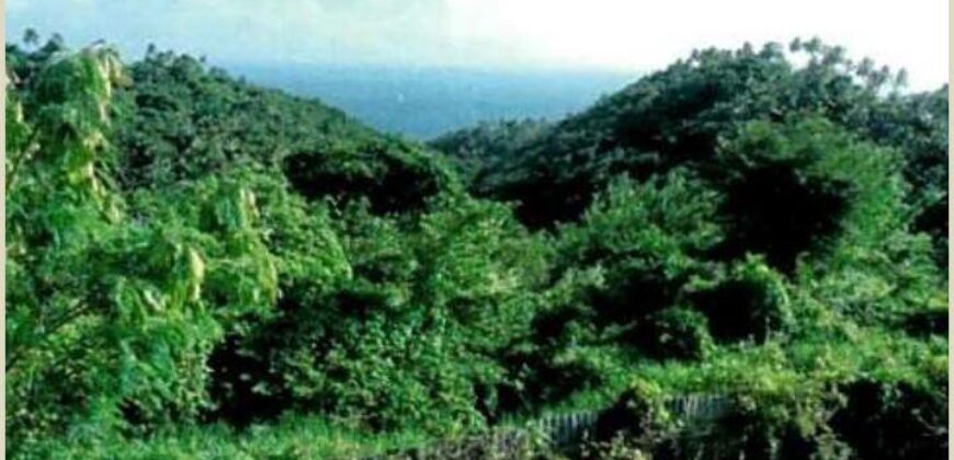 Venta Lotes Terreno Puerto Bahia – Samanà