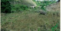 Venta Lotes Terreno Puerto Bahia – Samanà