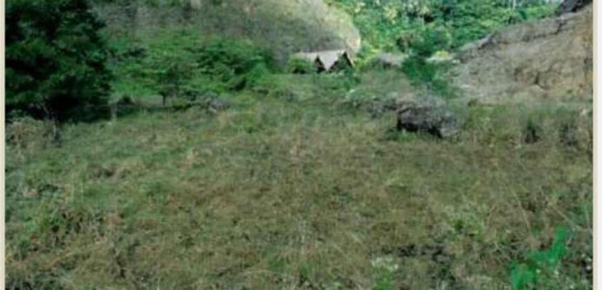 Venta Lotes Terreno Puerto Bahia – Samanà