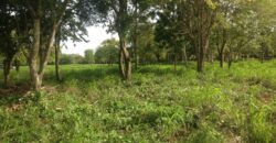 Venta Solar Metro Country Club – Playa Juan dolio