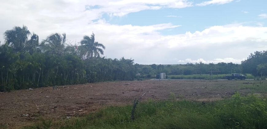 Venta Solar Playa Nueva Romana Lote 18