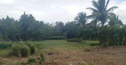 Venta Solar Playa Nueva Romana Lote 18