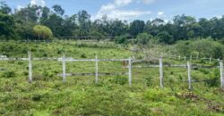 Vendo Finca En Las Terrenas