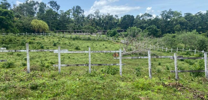 Vendo Finca En Las Terrenas