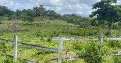 Vendo Finca En Las Terrenas