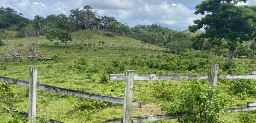Vendo Finca En Las Terrenas