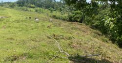 Vendo Finca En Las Terrenas