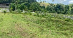 Vendo Finca En Las Terrenas
