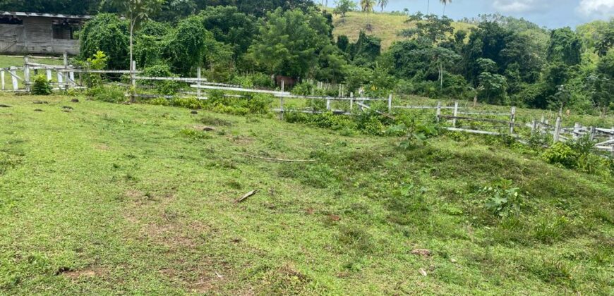 Vendo Finca En Las Terrenas
