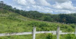 Vendo Finca En Las Terrenas