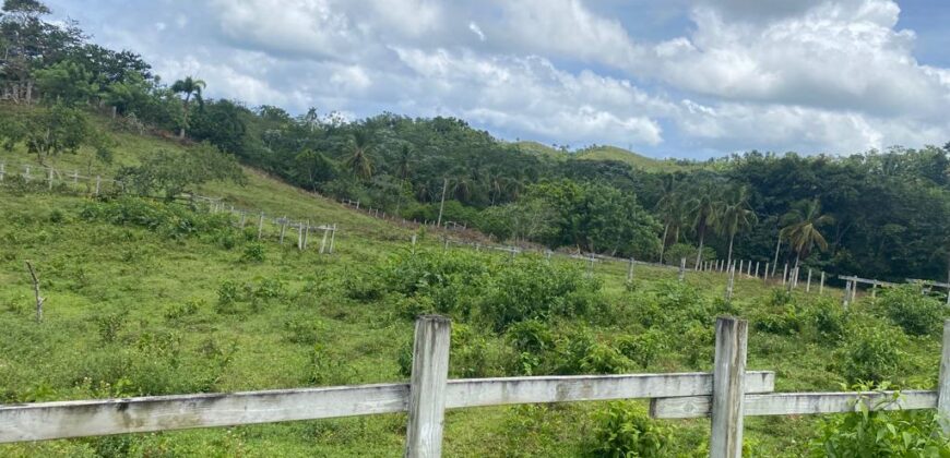 Vendo Finca En Las Terrenas