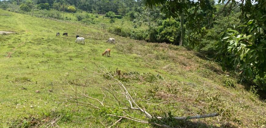 Vendo Finca En Las Terrenas