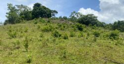 Vendo Finca En Las Terrenas