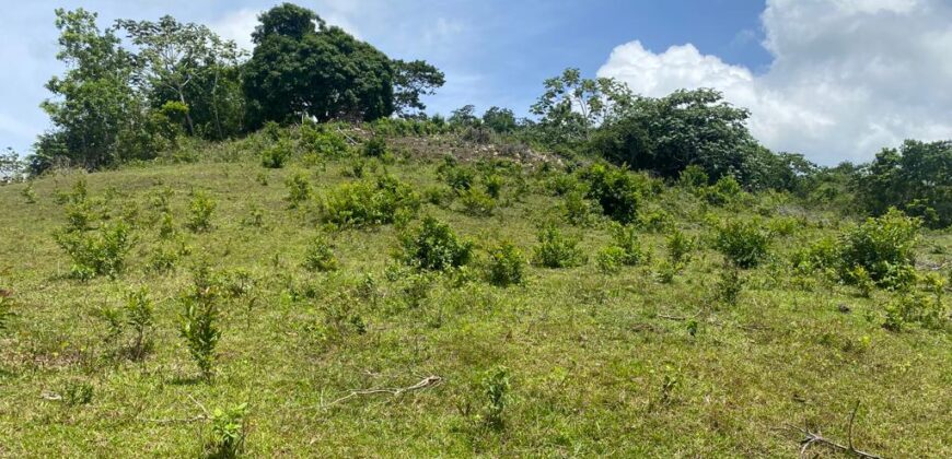 Vendo Finca En Las Terrenas