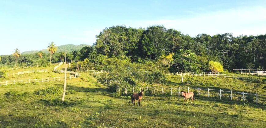 Vendo Finca En Las Terrenas