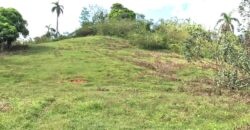 Vendo Finca En Las Terrenas