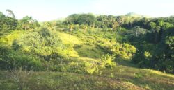 Vendo Finca En Las Terrenas