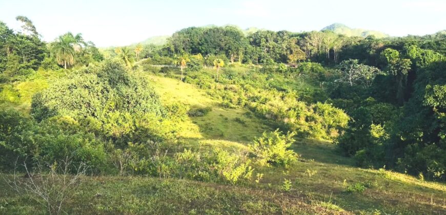 Vendo Finca En Las Terrenas