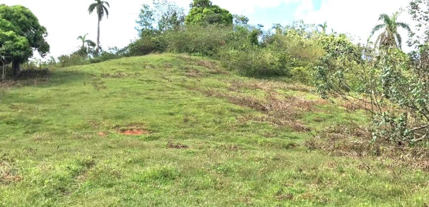 Vendo Finca En Las Terrenas