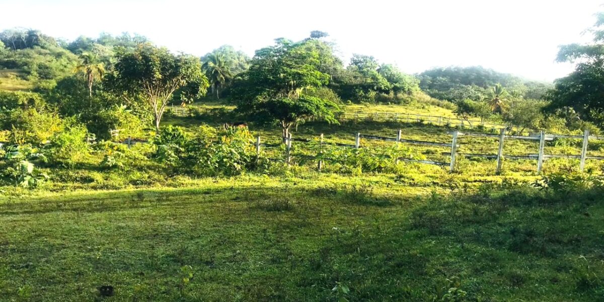 Vendo Finca En Las Terrenas Vendo Finca En Las Terrenas
