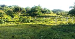 Vendo Finca En Las Terrenas