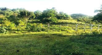 Vendo Finca En Las Terrenas