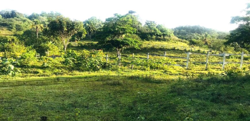Vendo Finca En Las Terrenas