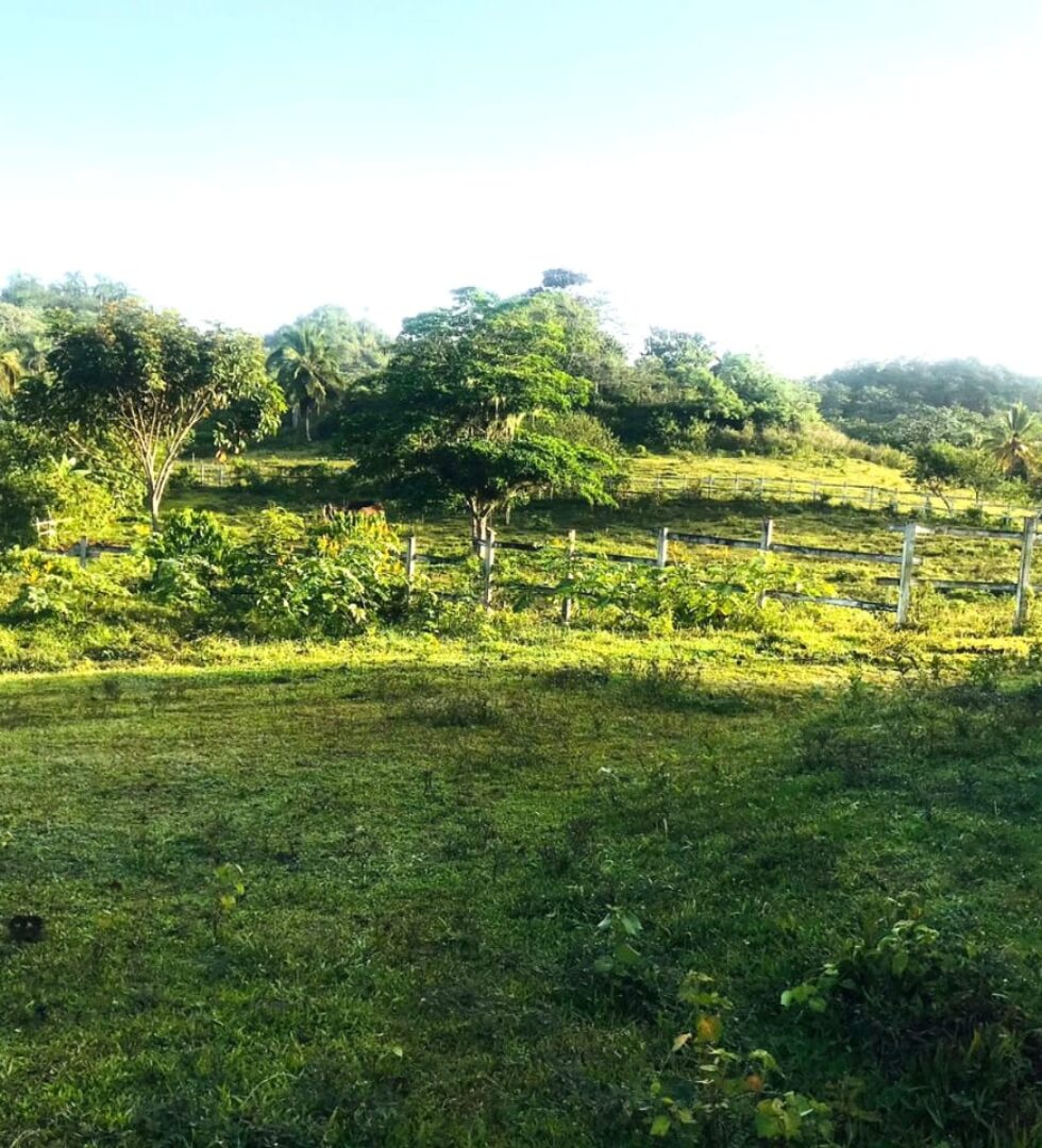 Vendo Finca En Las Terrenas