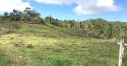 Vendo Finca En Las Terrenas