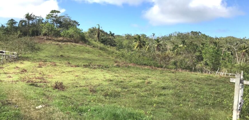 Vendo Finca En Las Terrenas
