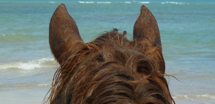Vendo Finca En Las Terrenas