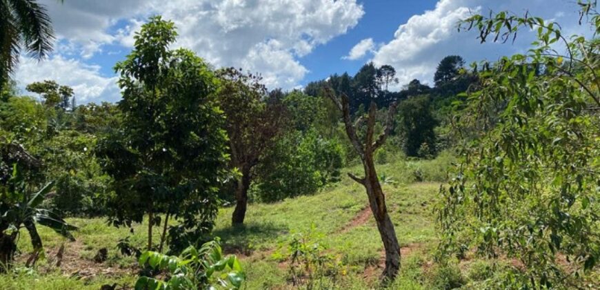 Venta Solares Villa Altagracia – La Cumbre