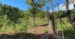 Venta Solares Villa Altagracia – La Cumbre