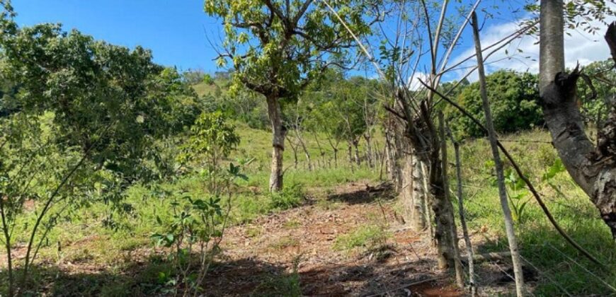 Venta Solares Villa Altagracia – La Cumbre