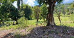 Venta Solares Villa Altagracia – La Cumbre