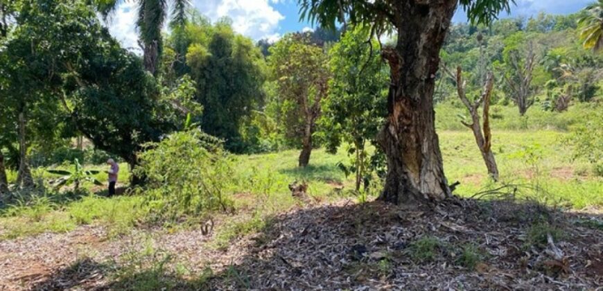 Venta Solares Villa Altagracia – La Cumbre