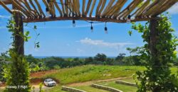 Ventas Solares y Villas Turismo Ecológico Nisibon – Bávaro