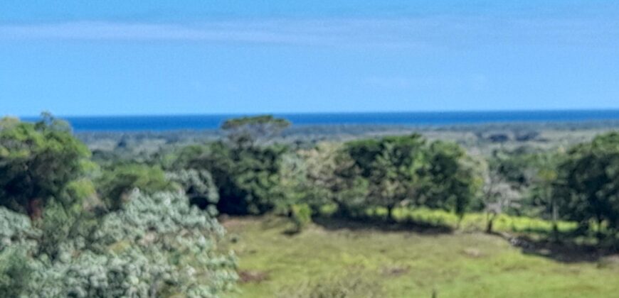 Ventas Solares y Villas Turismo Ecológico Nisibon – Bávaro