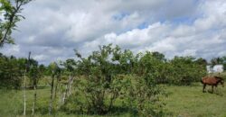 Venta Sola San Luis -Santo Domingo Este