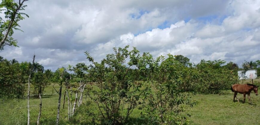 Venta Sola San Luis -Santo Domingo Este