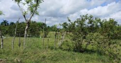 Venta Sola San Luis -Santo Domingo Este