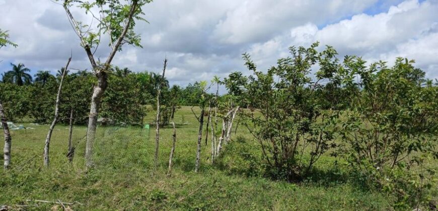 Venta Sola San Luis -Santo Domingo Este