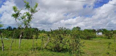 Venta Sola San Luis -Santo Domingo Este