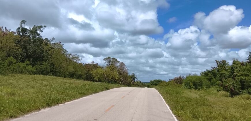Ventas Lotes Solares en Cap Cana – Playa Juanilloi