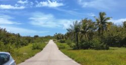 Ventas Lotes Solares en Cap Cana – Playa Juanilloi