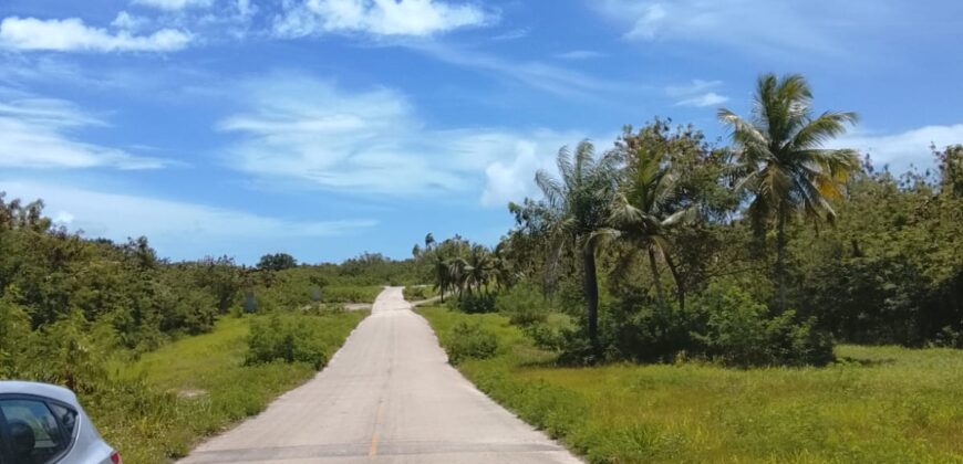 Ventas Lotes Solares en Cap Cana – Playa Juanilloi