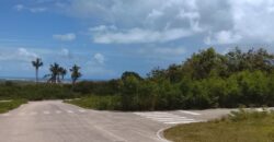 Ventas Lotes Solares en Cap Cana – Playa Juanilloi
