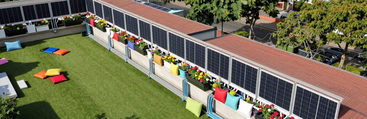 Balcón transformado en jardín urbano encantador
